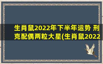 生肖鼠2022年下半年运势 刑克配偶两粒大星(生肖鼠2022年下半年运势：配偶运势不佳，需警惕被拆散的可能性)